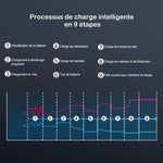 Cargador inteligente de batería para motocicleta de 12 V y 30 A - Vignette | Boutique biker